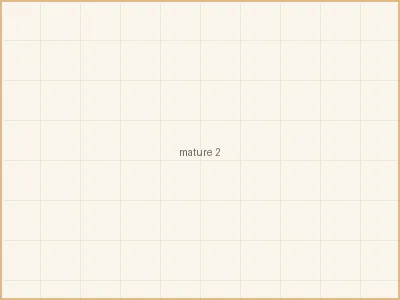 换妻 - 周末的花艺教室 - 和闺蜜一起插花的午后